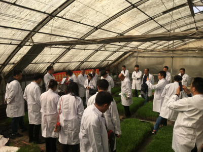 綠色農(nóng)業(yè)新篇章 '頂苗新'環(huán)保技術(shù)交流會在哈爾濱隆重召開